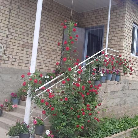 Guest House Kyzyl Alma Arkit Exterior photo